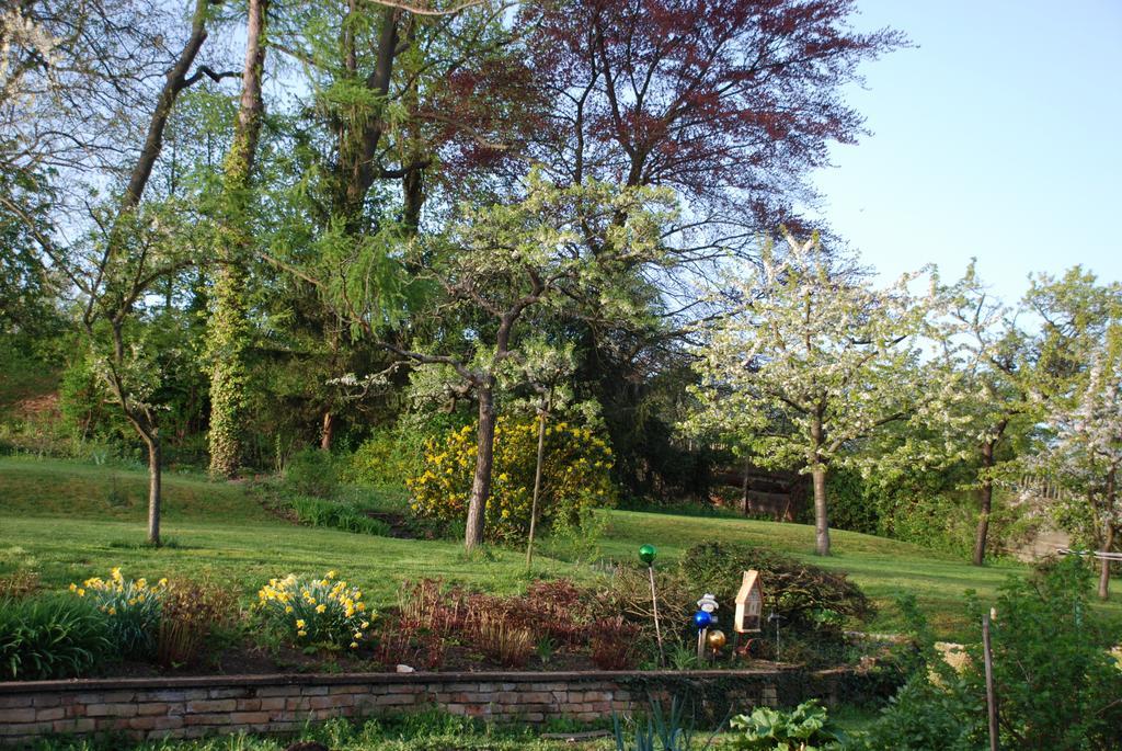 Les Bleuets Villa Scharrachbergheim-Irmstett Szoba fotó